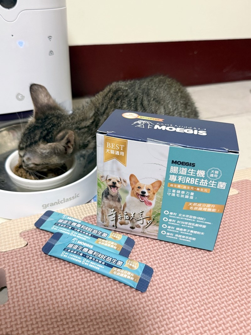 女人知己試用大隊,口碑行銷,部落客行銷,Moegis萌吉 腸道生機專利RBE益生菌,寵物益生菌,專利RBE益生元,專利蔬果酵素,小分子胜肽,藍藻粉,維持免疫力,幫助維持消化道機能,維持正常食慾,改變細菌叢生態,腸胃保健,犬貓適用